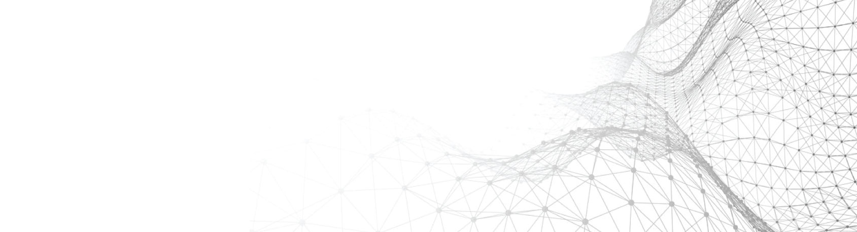 IT SERVICES